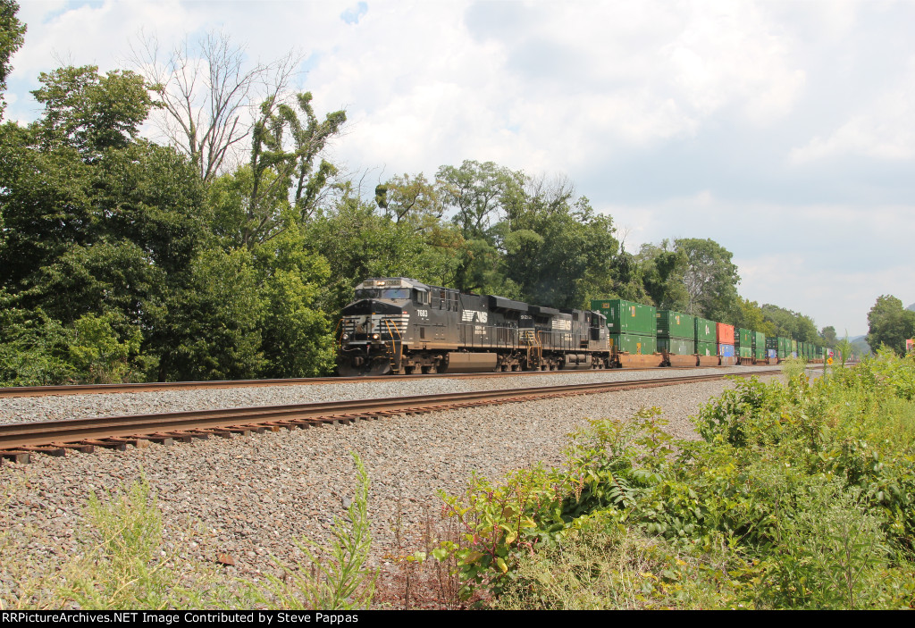 NS 6783 leads a westbound container train through cove PA